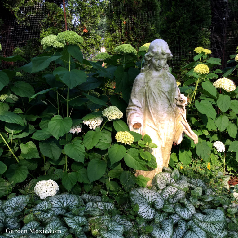 The Story of My Mary Garden