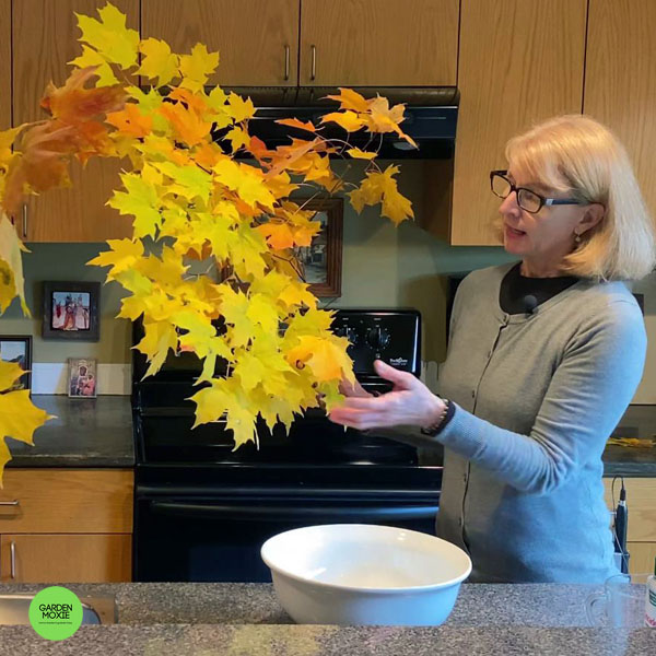 Home Garden–How To Preserve Beautiful Autumn Leaves in 15 minutes