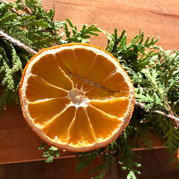 How To Make a Dried-Orange Holiday Garland