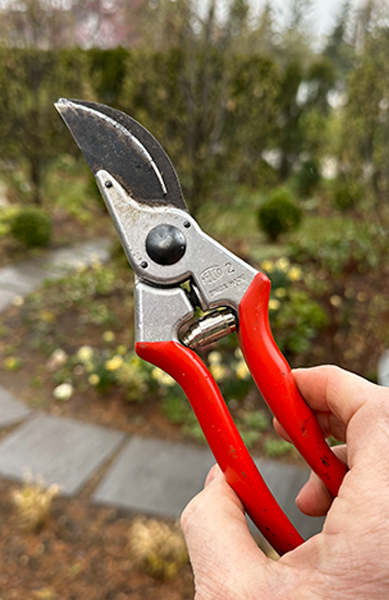 gardening tools Felco #2 hand pruners