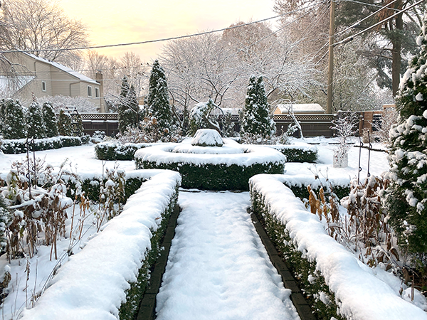 Your garden should look beautiful in Winter