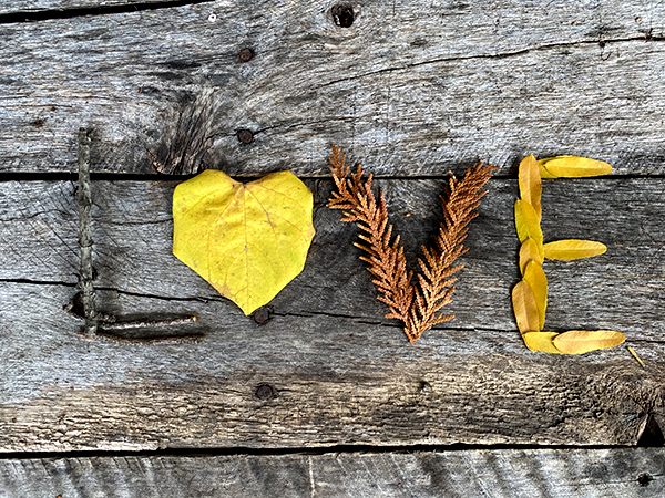 Garden Moxie Newsletter for September 2023