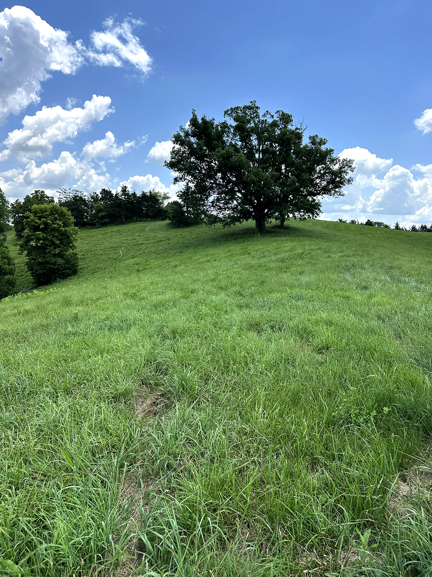 Fun Facts About Garden Moxie 4 svg%3E