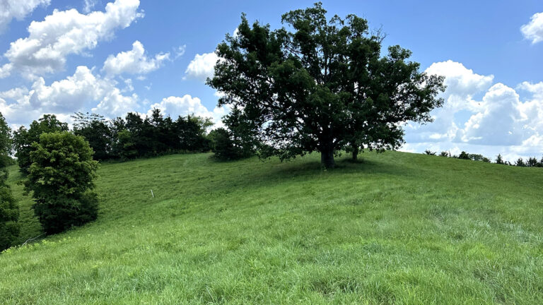 Designing a garden from scratch at Sugar Hill