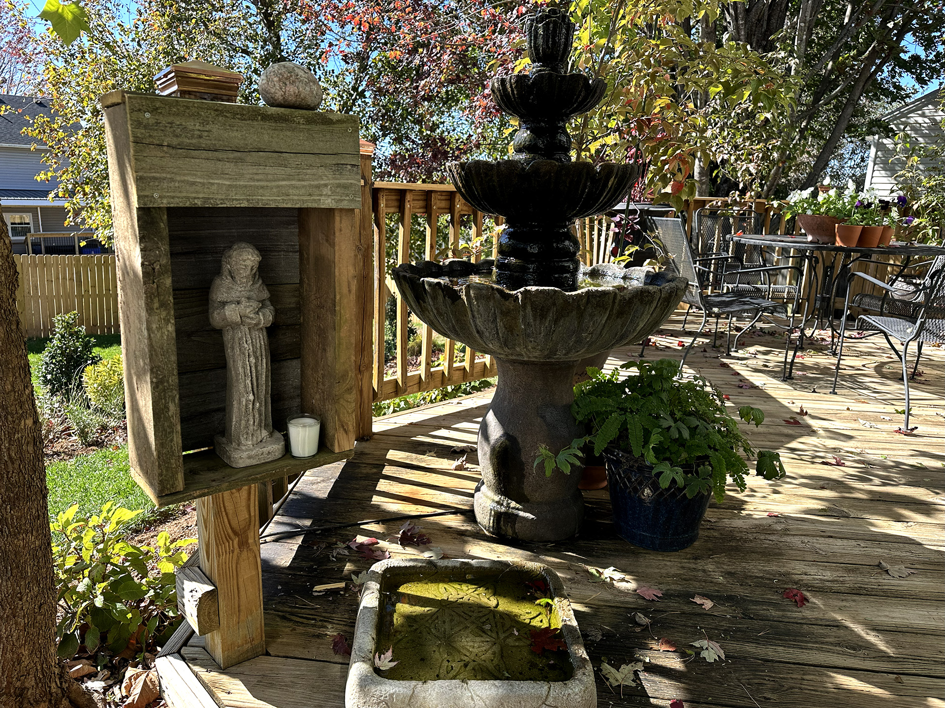 My Garden - The 1 Amazing Place I Love 21 st francis