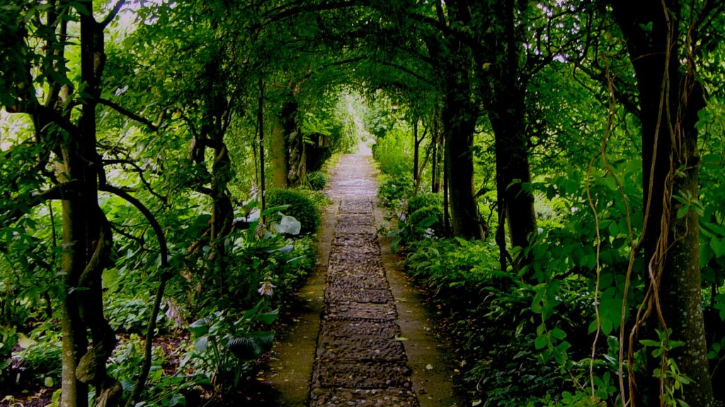 Laburnum walk at Barnsely House Garden
