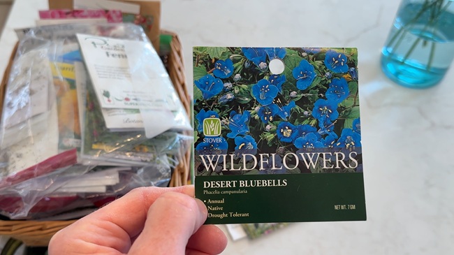 Grow Flowers from Seed 1 Grow flowers from seed like these Desert Bluebells