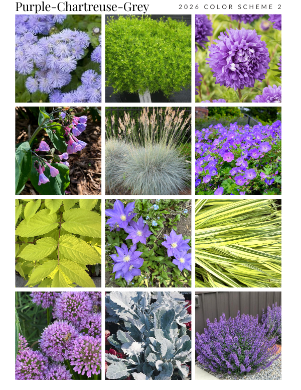 Planning a Garden the Old-Fashioned Way 4 2026 color scheme 2