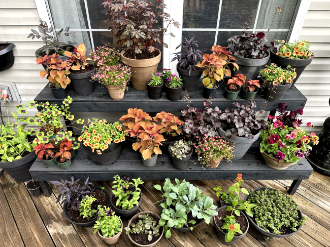 Patio containers
