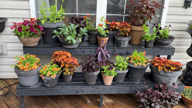 Patio containers in rust and deep purple